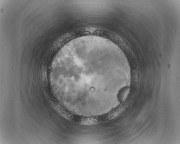 X0000081570754200702051214