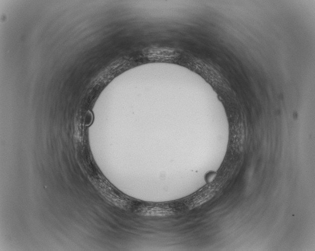 X0000081570755200702051214