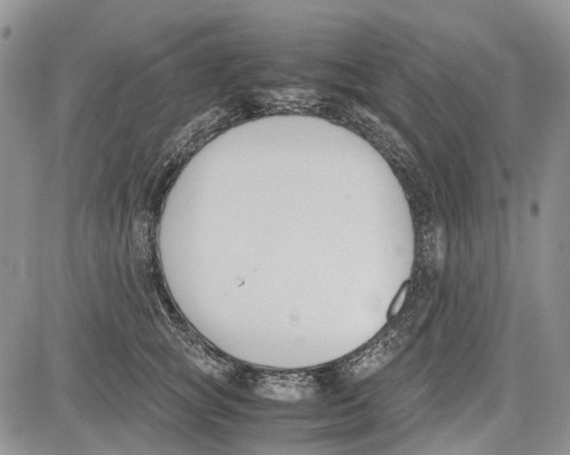 X0000081570757200702051214