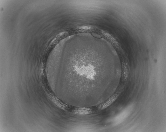 X0000081570758200702051214