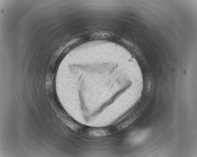 X0000081570759200702051214