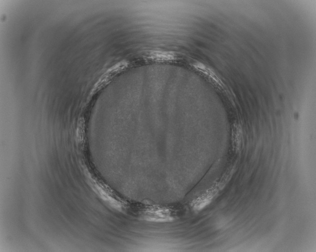 X0000081570760200702051214