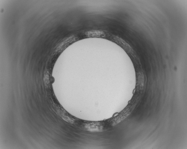 X0000081570761200702051214