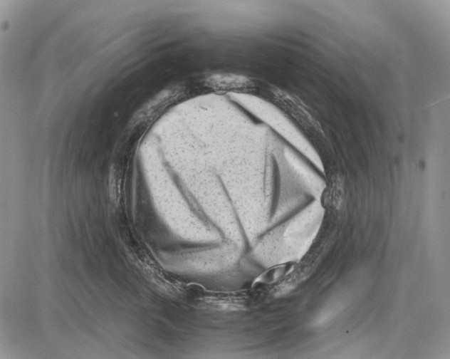 X0000081570763200702051214