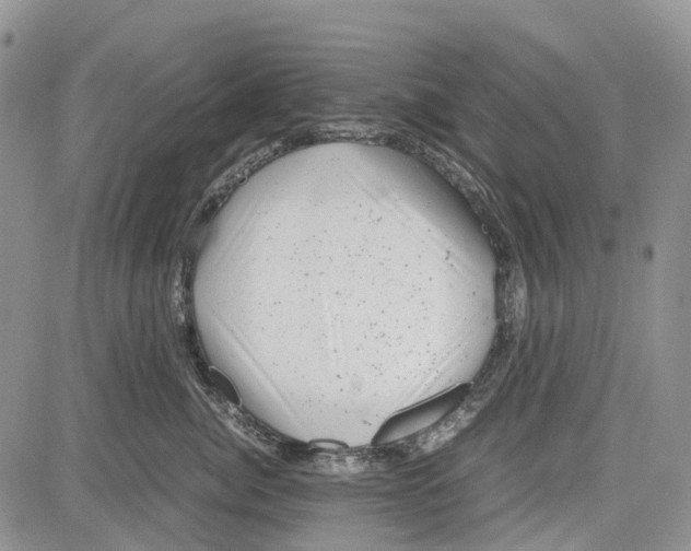 X0000081570764200702051214