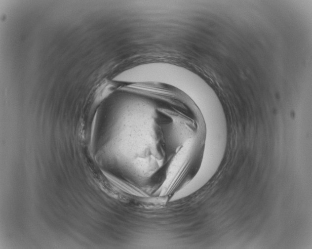 X0000081570766200702051214