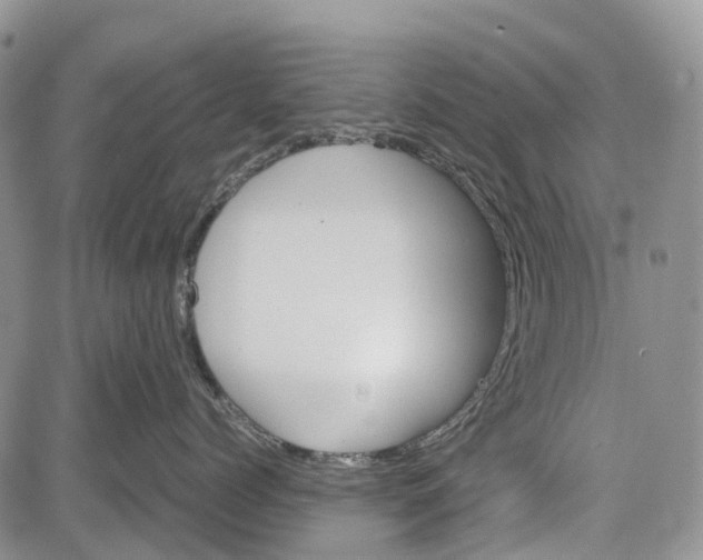 X0000081570768200702051214