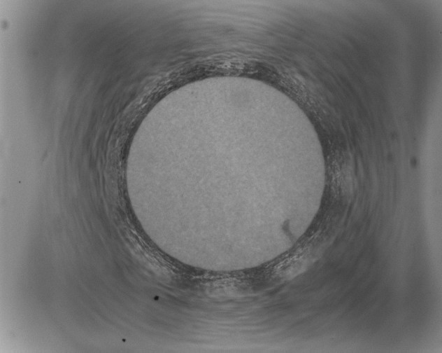 X0000081570769200702051213