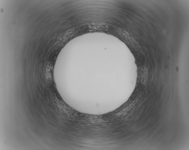 X0000081570770200702051213