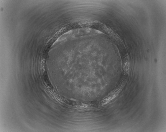 X0000081570772200702051213