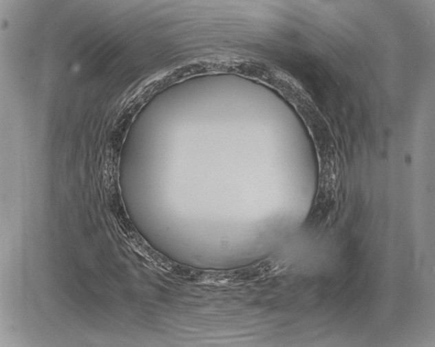 X0000081570773200702051213