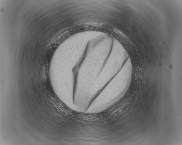 X0000081570774200702051213