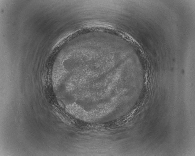 X0000081570775200702051213