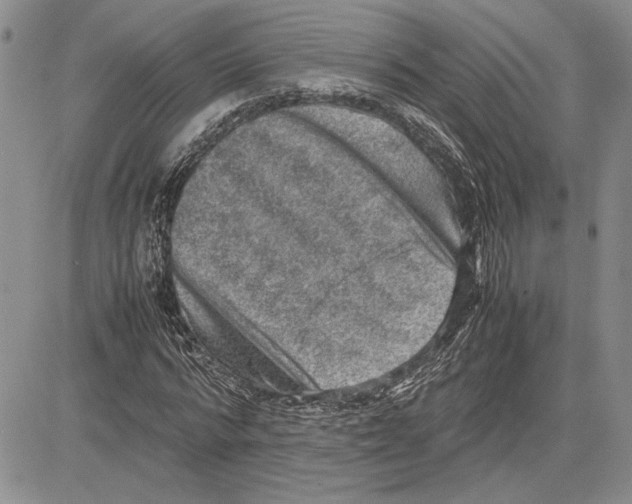 X0000081570776200702051213