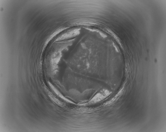 X0000081570779200702051213