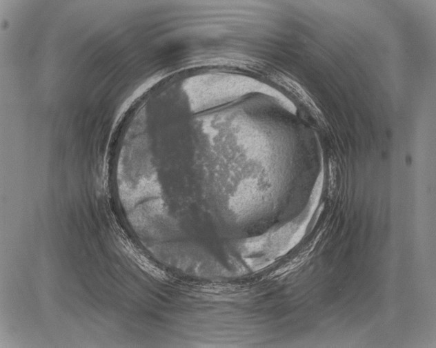 X0000081570780200702051213