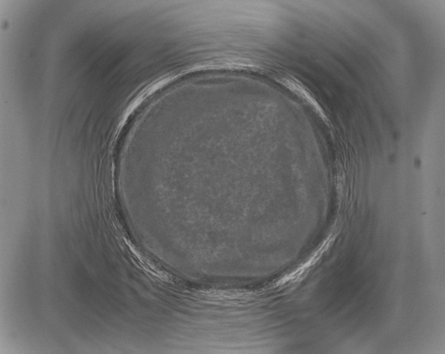 X0000081570781200702051213