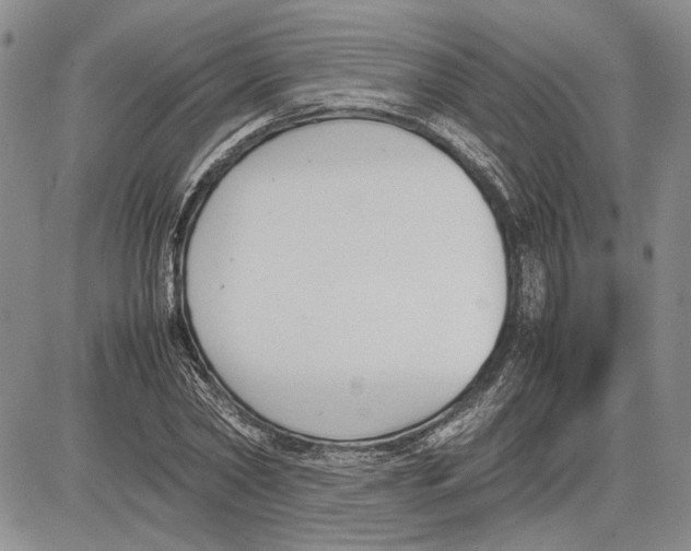 X0000081570782200702051213