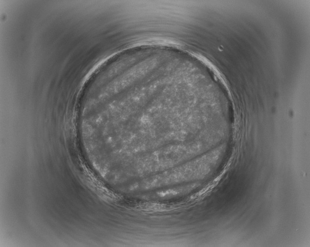 X0000081570783200702051213