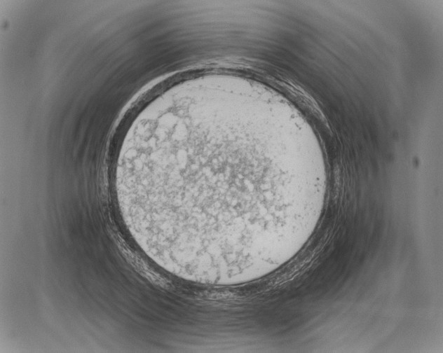 X0000081570784200702051213