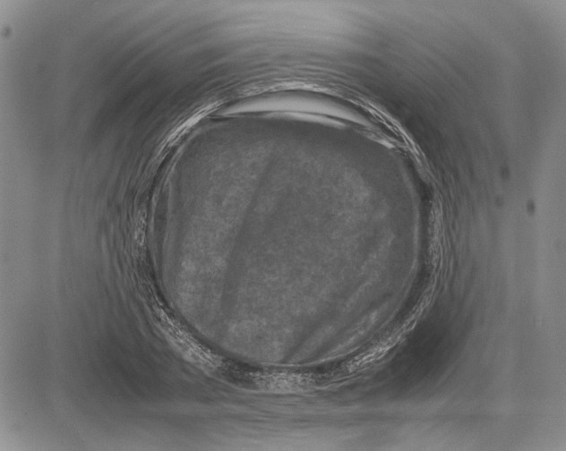 X0000081570785200702051213