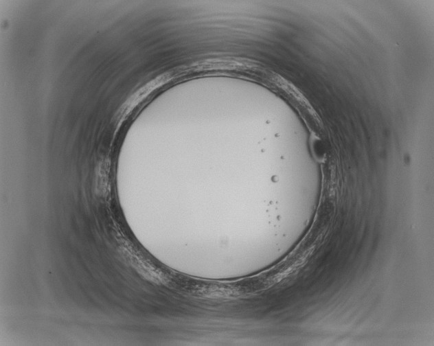 X0000081570786200702051213