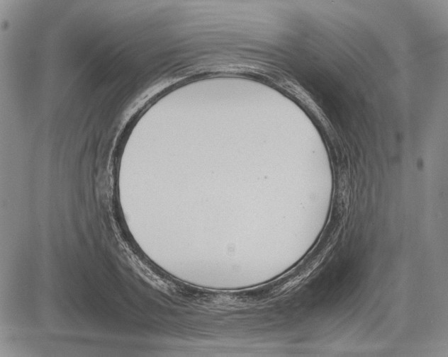 X0000081570787200702051213