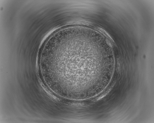 X0000081570788200702051213