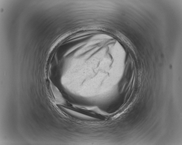 X0000081570789200702051213