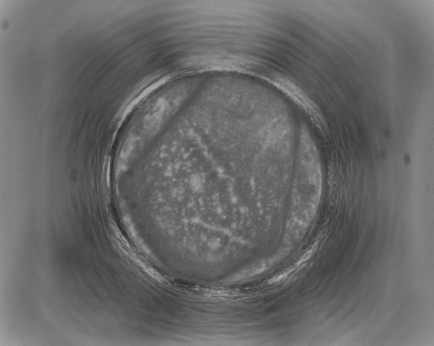 X0000081570790200702051213