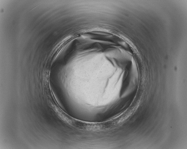 X0000081570793200702051213