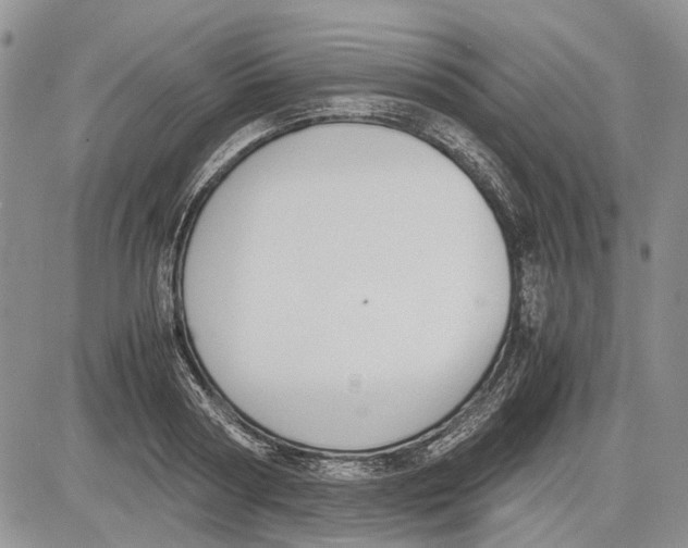 X0000081570794200702051213