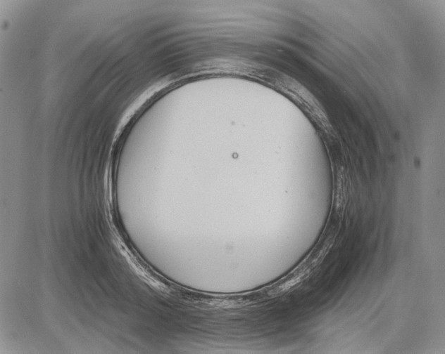 X0000081570796200702051213