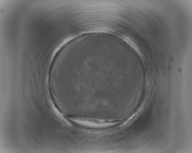 X0000081570797200702051213