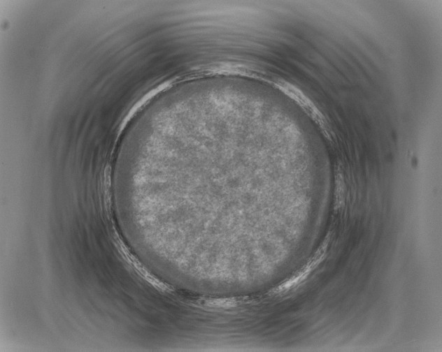 X0000081570798200702051213