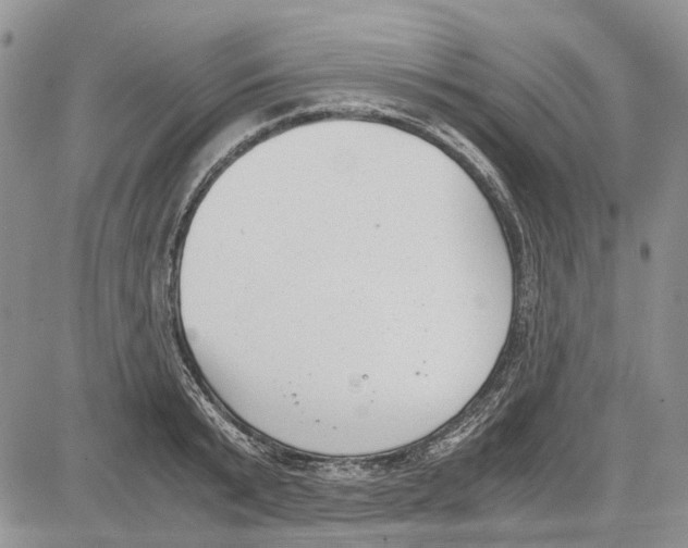 X0000081570799200702051213