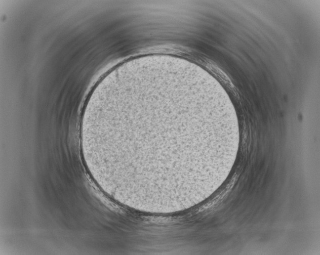 X0000081570800200702051213