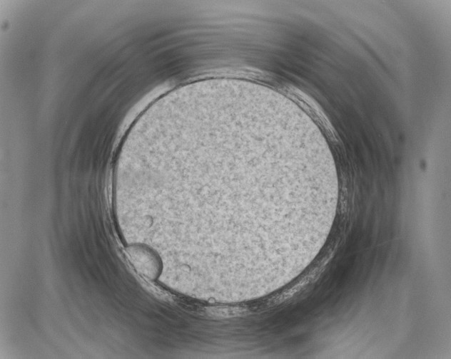 X0000081570804200702051213