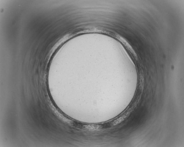 X0000081570805200702051213