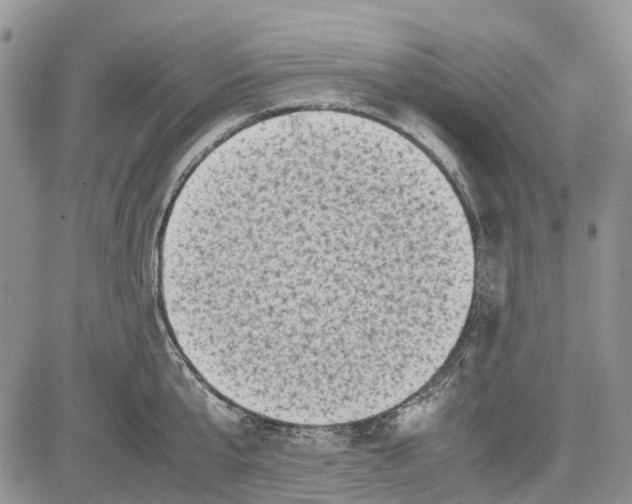 X0000081570807200702051213