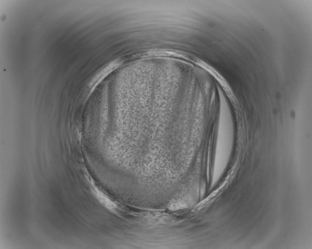 X0000081570809200702051213