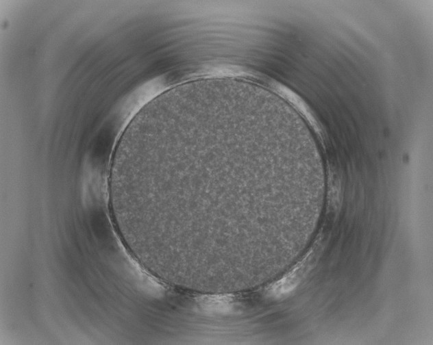 X0000081570810200702051213