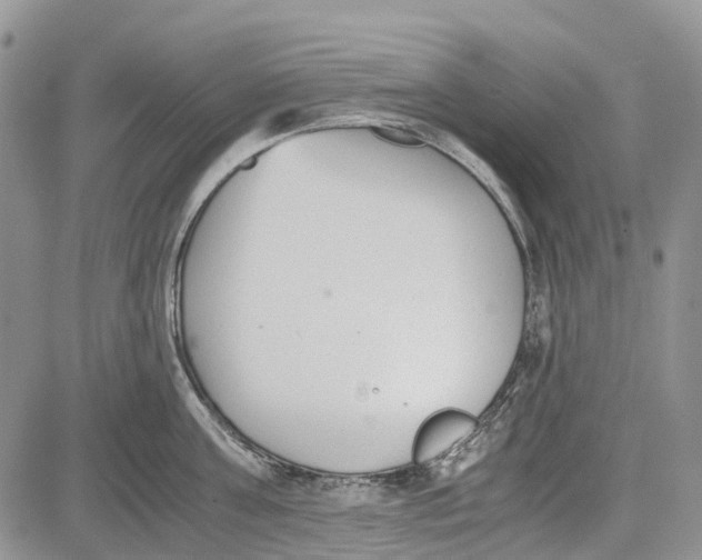 X0000081570811200702051213