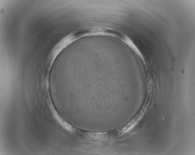 X0000081570813200702051212