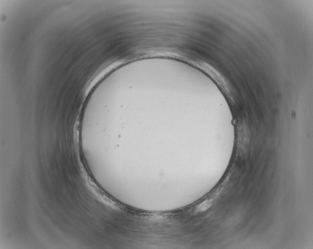 X0000081570814200702051212