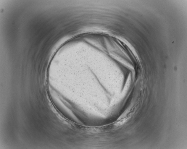 X0000081570815200702051212