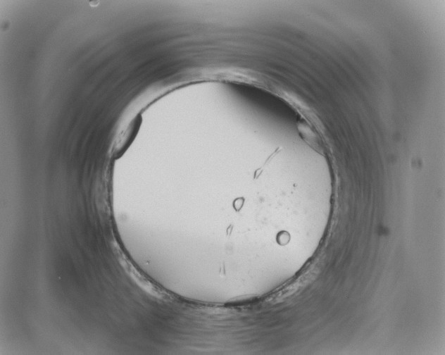 X0000081570816200702051212