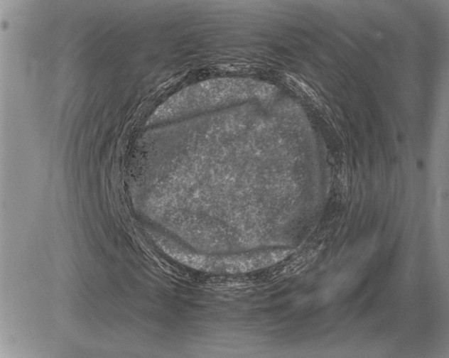 X0000081570817200702051212