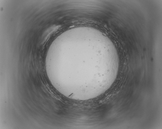 X0000081570820200702051212