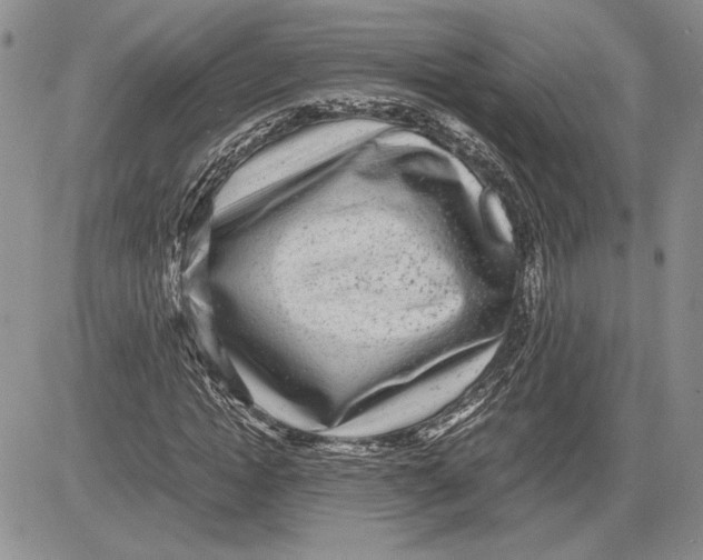 X0000081570822200702051212